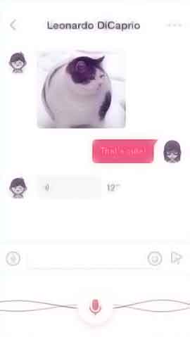 软件云呼